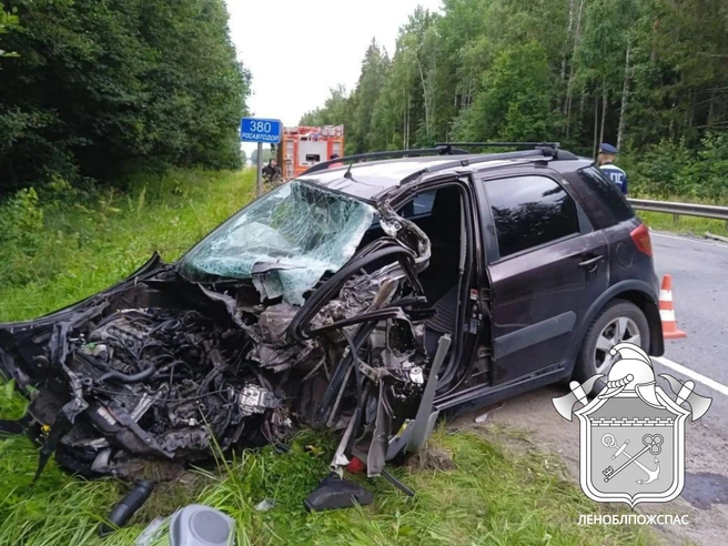 Перёд в хлам. Пенсионерку вызволяли из легковой после лобового ДТП с грузовиком в Ленобласти | Источник: ГКУ «Леноблпожспас»