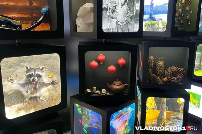 Источник: Елена Буйвол / VLADIVOSTOK1.RU