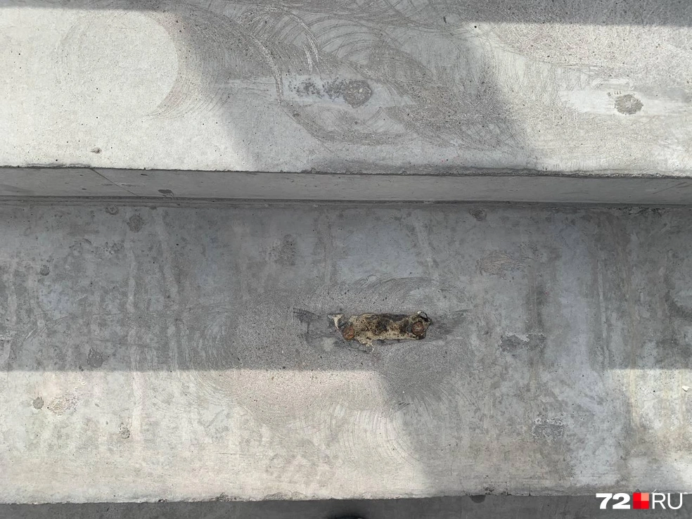 Первый привет от пены | Источник: Никита Кифорук / 72.RU