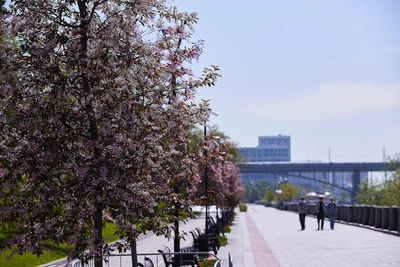 В Новосибирскую область вернется жара до +26°C в субботу