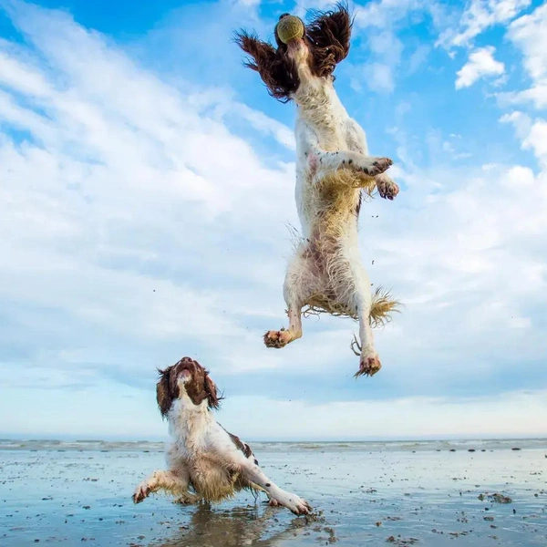 «Смотри, как я могу!» | Источник: Rhian White / British Photography Awards 2019