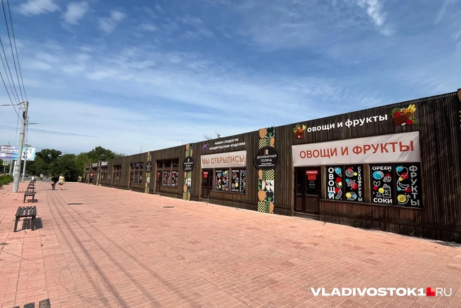 Источник: Елена Буйвол / VLADIVOSTOK1.RU