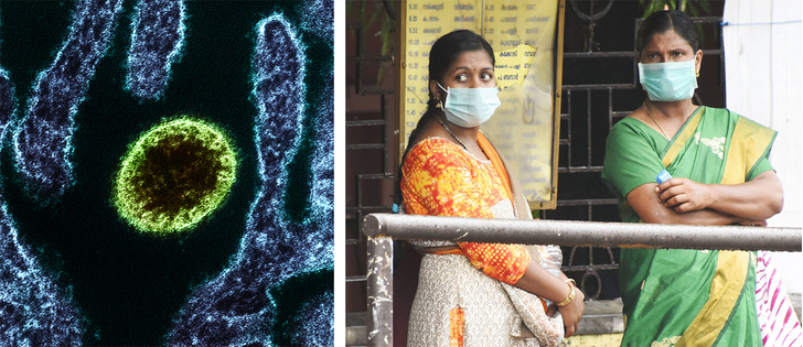 В Индии выявили вспышку нового опасного вируса