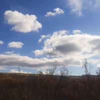 Аватарка Солярия