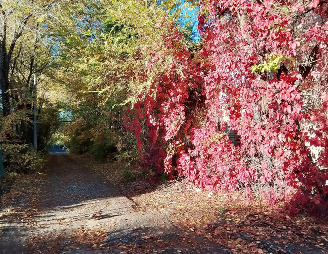 Сможет ли кто повторить эту палитру? | Источник: читатели V1.RU