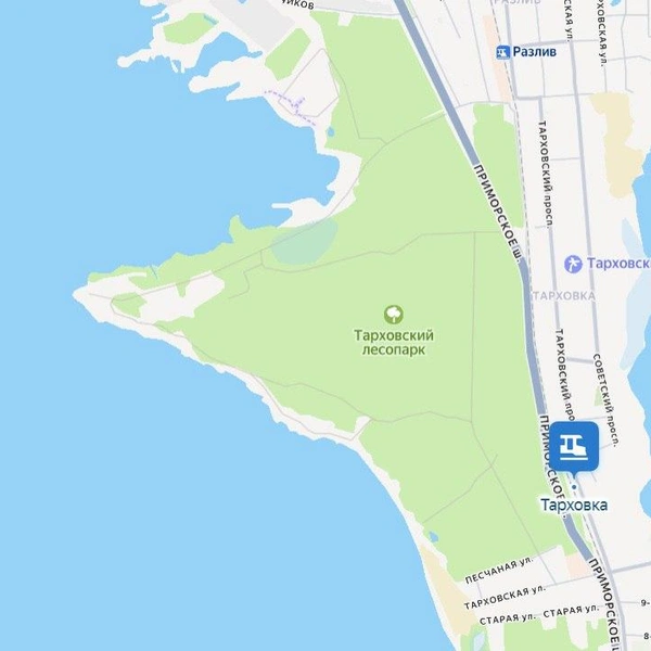 Создание Тарховского заказника утвердили в Петербурге | Источник: «Яндекс Карты»