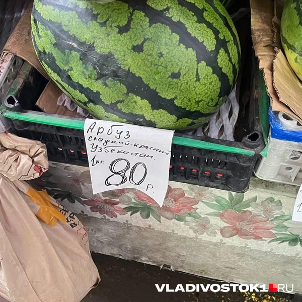 Источник: Елена Буйвол / VLADIVOSTOK1.RU