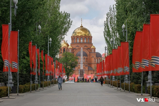 А на Аллее Героев их немного защищают деревья | Источник: Алексей Волхонский / V1.RU
