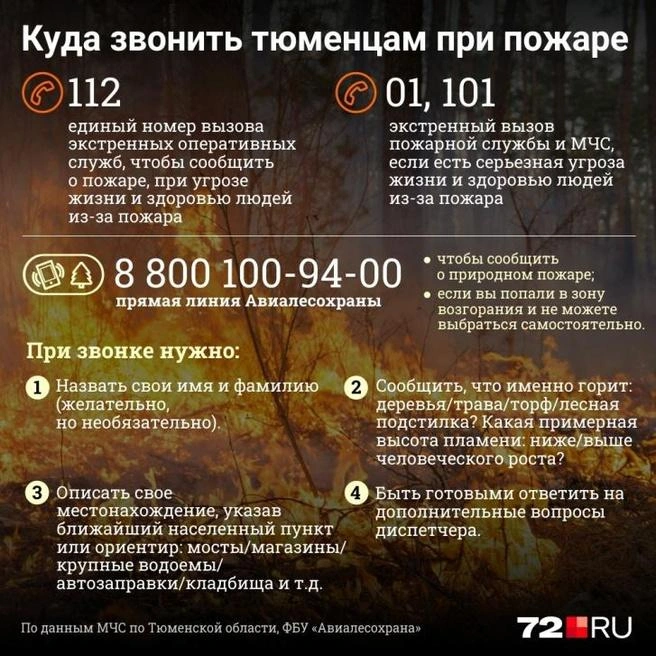 Источник: Дмитрий Гладышев / 72.RU 