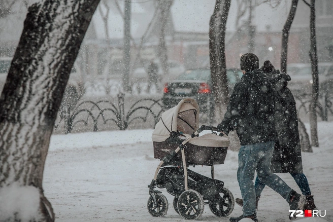 Теплых дней в ноябре будет в два раза больше, чем холодных | Источник: Ирина Шарова