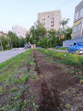 Вместо густой травы на Крупской осталась земля с редкими кустиками растений | Источник: предоставлено Надеждой Баглей