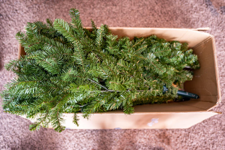 Когда убирать новогоднюю елку?