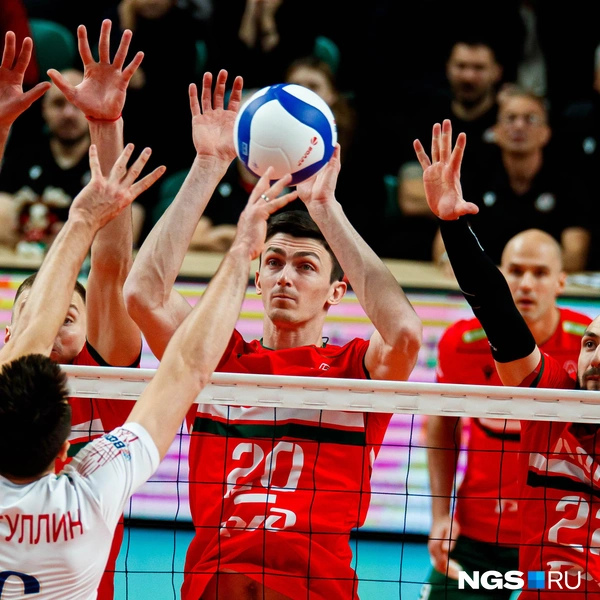 Источник: Андрей Бортко / NGS.RU