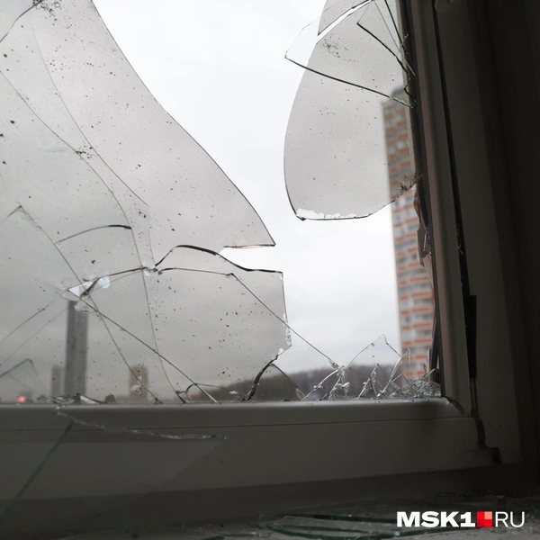 Источник: Дмитрий Толстошеев / MSK1.RU