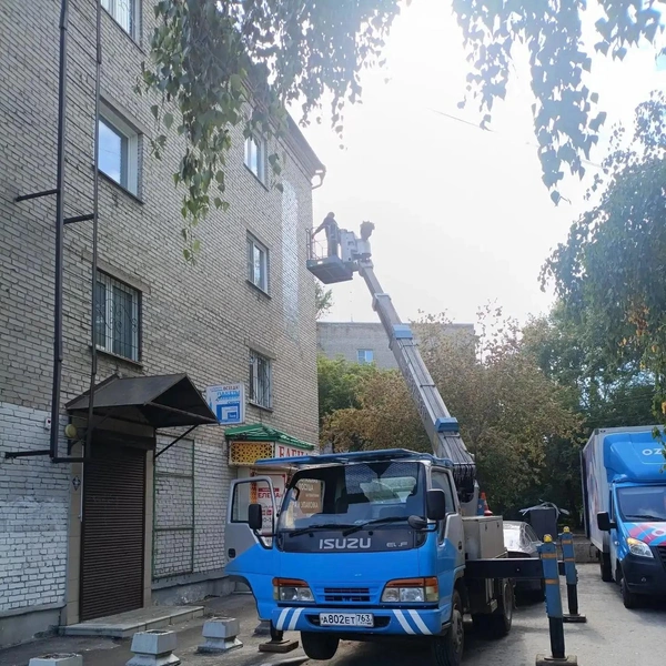 Источник: МЦУ города Барнаула