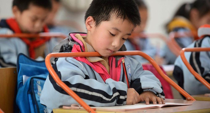 Китайские школьники каждый день заполняют «паспорта жизни» — почему такая практика нужна и нашим детям