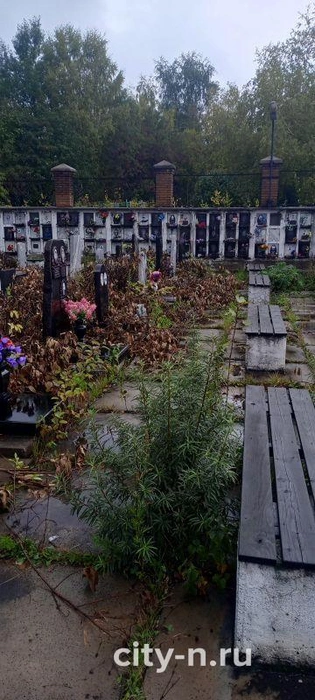 «С каждым годом всё хуже и хуже», — пишет Наталья | Источник: www.city-n.ru