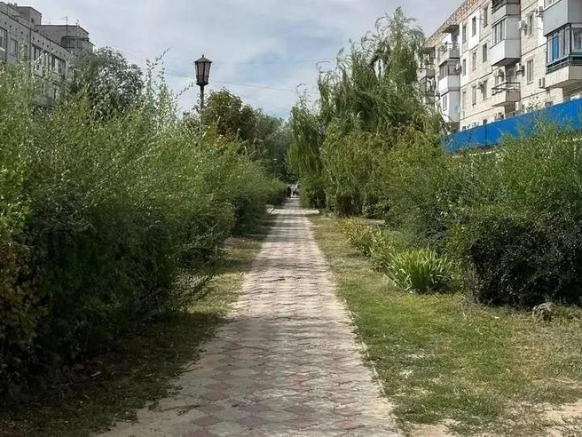 По мнению горожан, состояние тротуара оставляет желать лучшего | Источник: читатели V1.RU