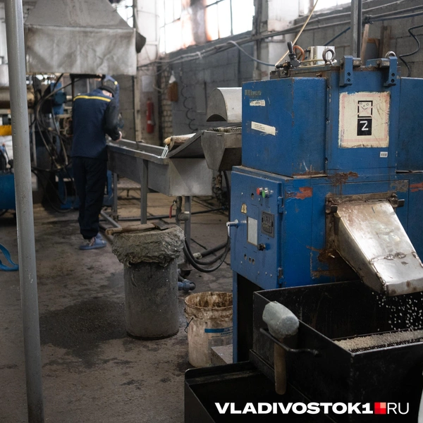 Источник: Елена Буйвол / VLADIVOSTOK1.RU