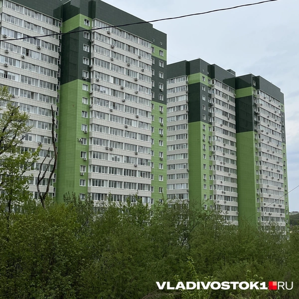 Источник: Алиса Князева / VLADIVOSTOK1.RU