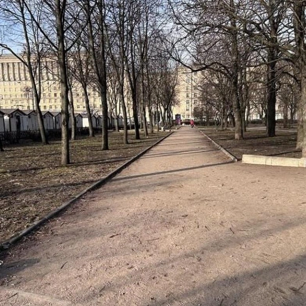 Северная роща до современного благоустройства | Источник: ЕИС «Закупки» / ООО «Альфадор»