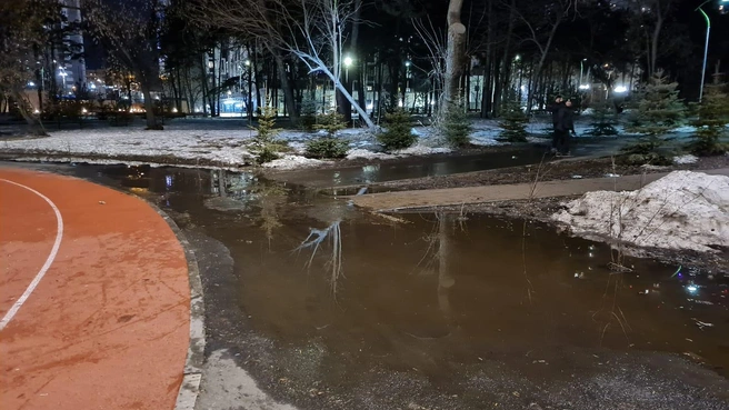 Вокруг стадиона — озера | Источник: Владимир Злоказов / Facebook.com