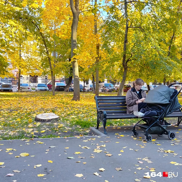 Источник: Сергей Гендин / 164.RU
