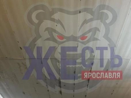 Плесень также распространилась на потолочные поверхности. | Источник: Жесть Ярославль / Vk.com