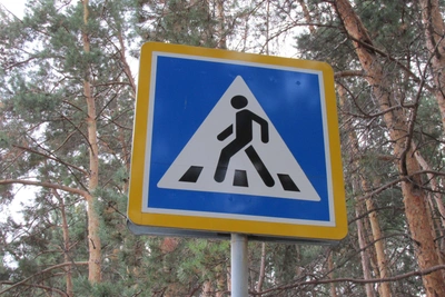 Под Ульяновском на переходе сбили 17-летнюю девочку