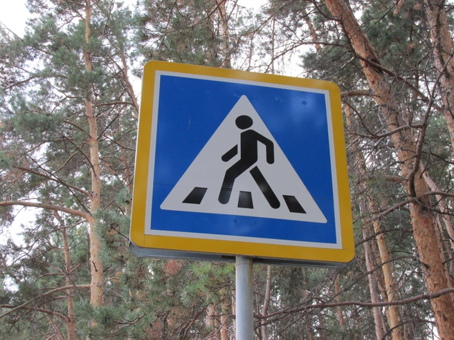 В Ульяновской области пьяный водитель наехал на детскую коляску | Источник: Дмитрий Сильнов / 173. RU