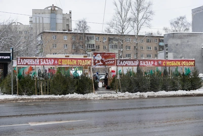 В Ярославле елочные базары работают до 31 декабря: цены на деревья