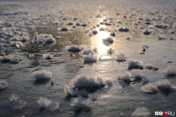 Такие снежные цветы снял Тимофей на Сылве в декабре 2025 года | Источник: Тимофей Калмаков / 59.RU