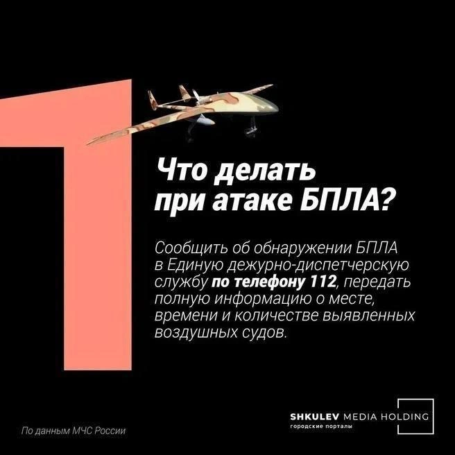 Источник: Полина Авдошина
