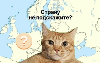 Только 7 из 100 человек могут с 1 раза называть страну, которая отмечена на карте
