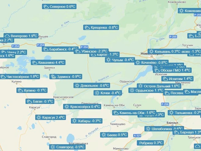 На карте показали, какая температура была в полночь с 14 на 15 мая  | Источник: meteo-nso.ru