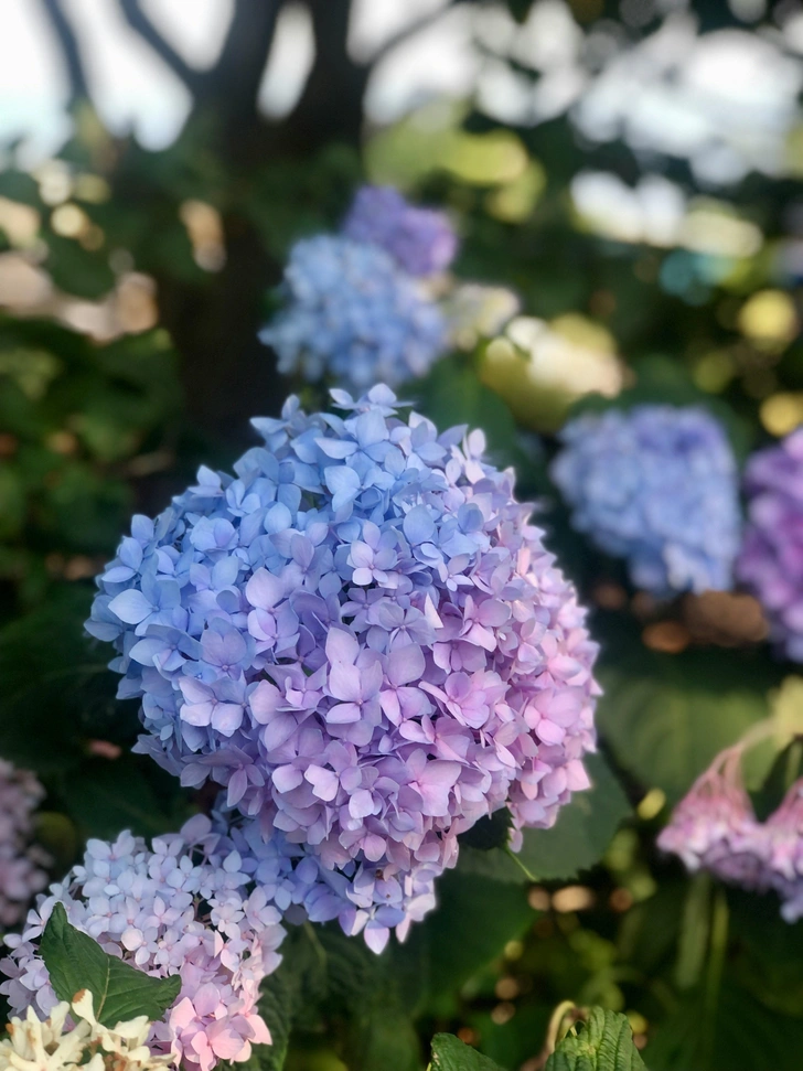 Источник: Stephanie Klepacki/Unsplash