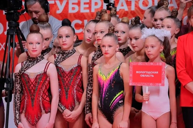 Источник: st.cherinfo.ru
