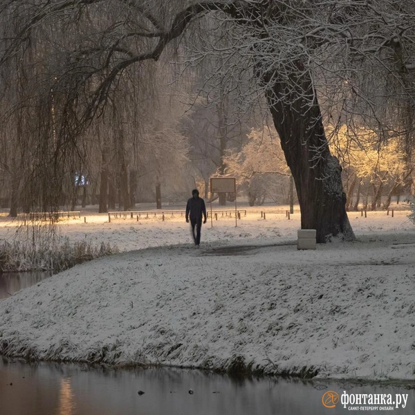 Источник: Сергей Николаев / «Фонтака.ру»