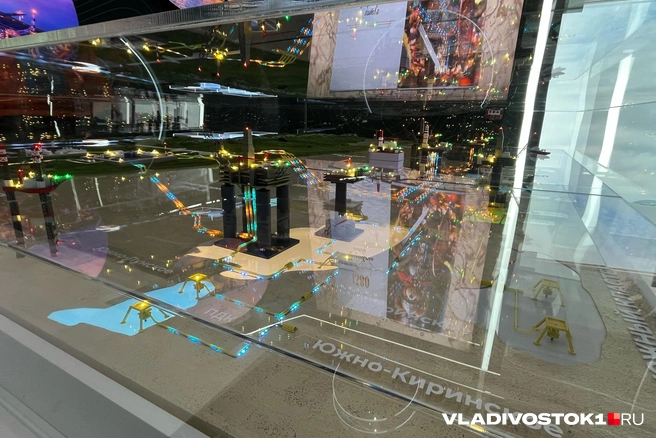 Источник: Елена Буйвол / VLADIVOSTOK1.RU