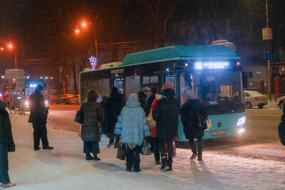 Автобусы Архангельска на новогодние праздники: расписание от Рико