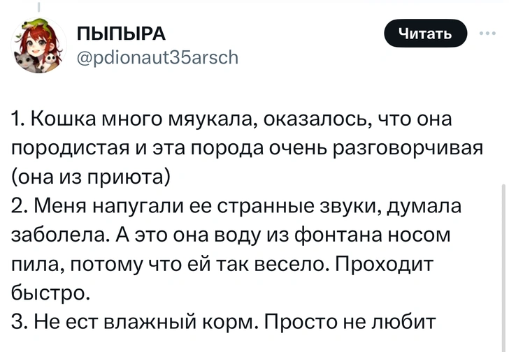 В «Твиттере» делятся тупыми причинами, по которым возили животных в ветеринарные клиники. И это уморительно!