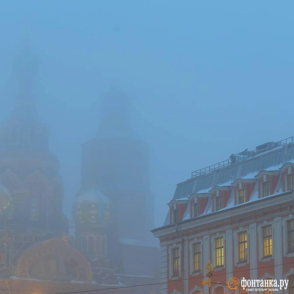 Источник: Дарья Драй / «Фонтанка.ру»
