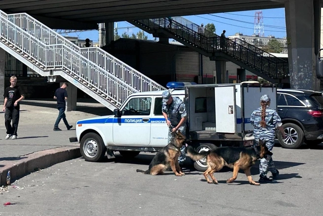 На место с мигалками приехали кинологи с собаками | Источник: Алексей Волхонский / V1.RU