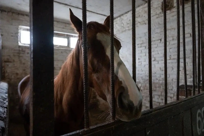 Участок у Тачанки в Ростове отдадут под жилую застройку