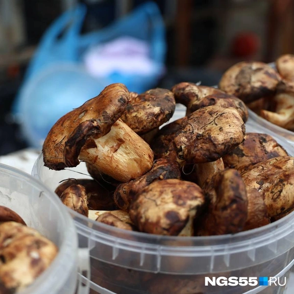 Можно купить грибы в ведерке | Источник: Евгений Софийчук / NGS55.RU