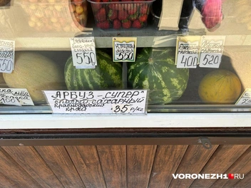 Источник: Мария Мишукова / Voronezh1.ru