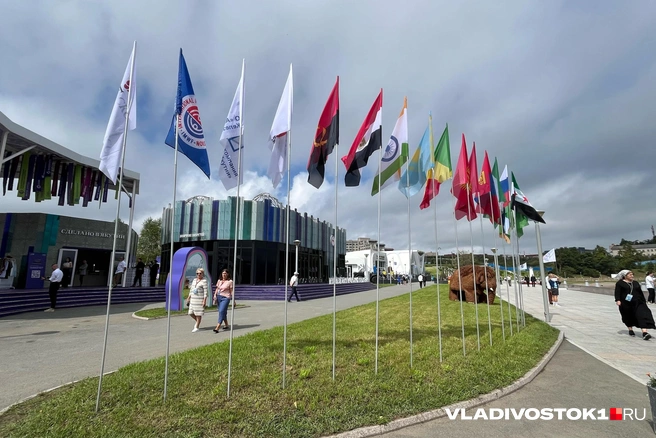 ВЭФ — одно из главных мероприятий региона | Источник: Елена Буйвол / VLADIVOSTOK1.RU