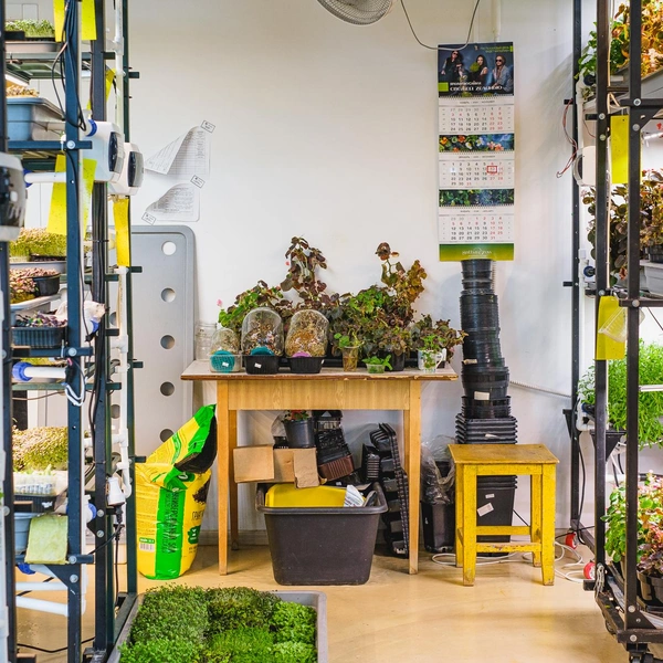 Пространство похоже на оранжерею | Источник: Тимофей Калмаков / 59.RU