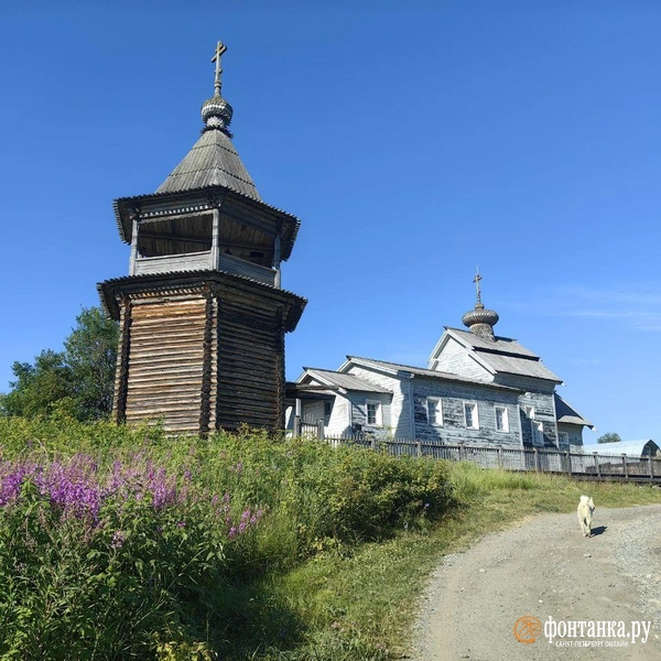 Источник: Ксения Потеева / «Фонтанка.ру» 