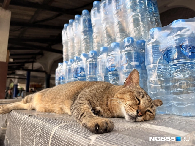 Хранитель воды | Источник: Тамара Башаева / NGS55.RU